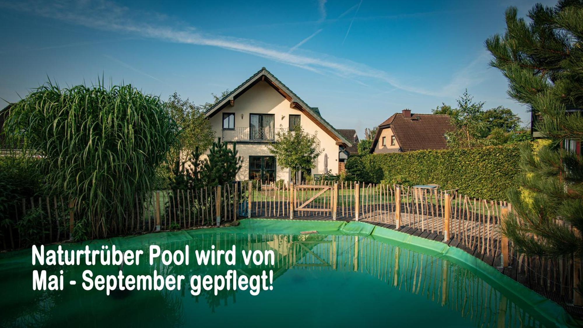 Ferienhaus Mountfrosch Mit Sauna Und Naturpool Моншау Екстер'єр фото